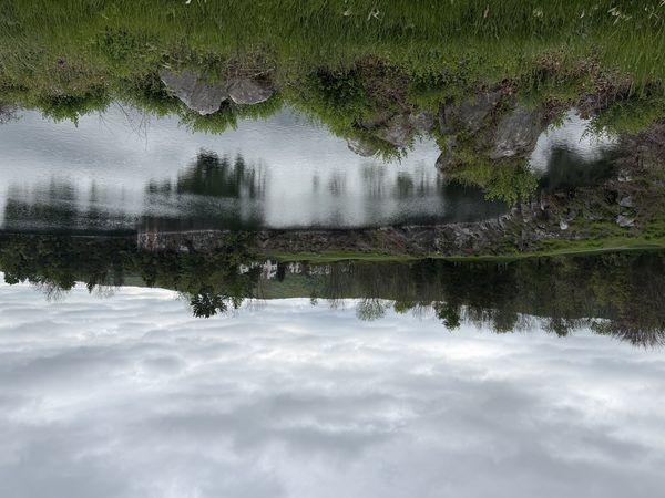 CDI IV — IMG_2585